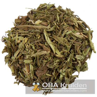 Stevia blad (honingkruid)